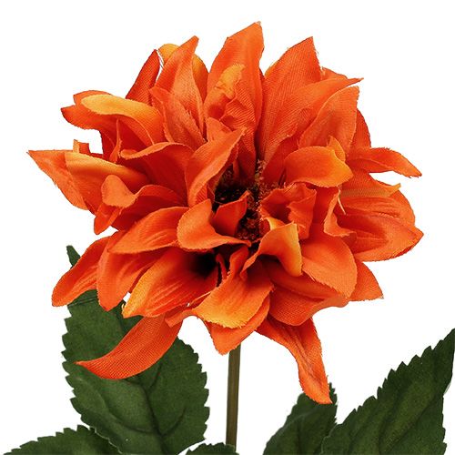 Floristik24 Dahlia Orange 28cm 4stk