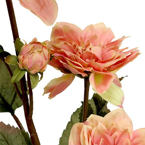 Floristik24 Dahlia pink Ø10cm L68cm 3stk