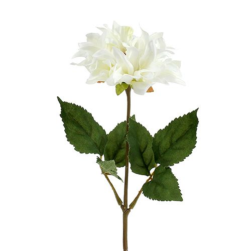 Dahlia hvid 28 cm 4stk