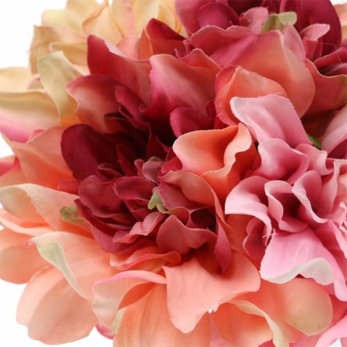 Floristik24 Dahlia bundtbuket 28cm lyserød, creme 6stk