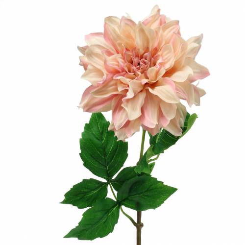 Floristik24 Dahlia pink 62cm