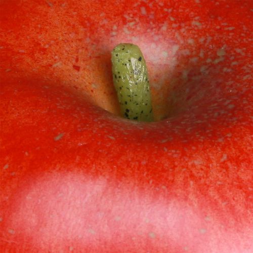 Artikel Dekorativ æblerød dekorativ frugtmad dummy 9cm