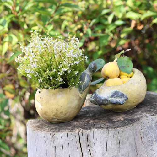 Dekorativ pæreplantekasse efterårsblomstpotte beton 25×13×11 cm