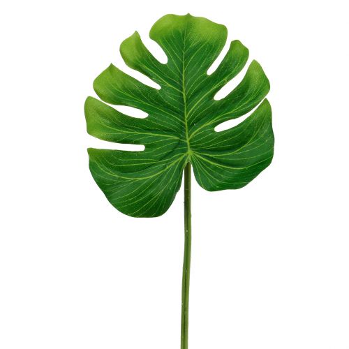 Floristik24 Deco Blad Philo Bladgrøn B11cm L29,5cm 3stk