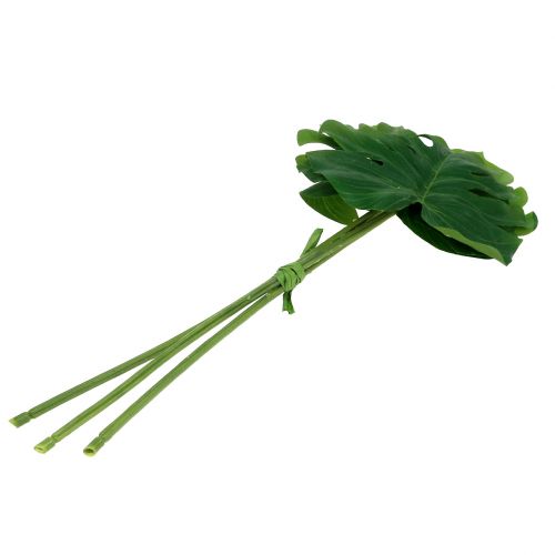 Floristik24 Deco Blad Philo Bladgrøn B11cm L29,5cm 3stk