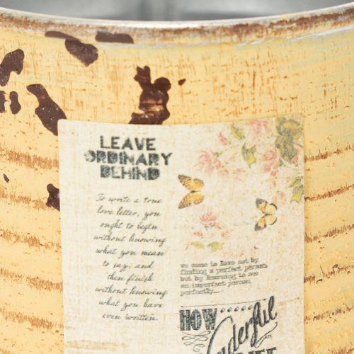 Artikel Dekorativ dåse, sommer abrikosfarvet, metal dåse, urtepotte, Ø8 cm H7,5 cm