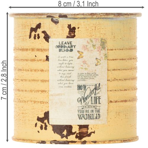 Artikel Dekorativ dåse, sommer abrikosfarvet, metal dåse, urtepotte, Ø8 cm H7,5 cm