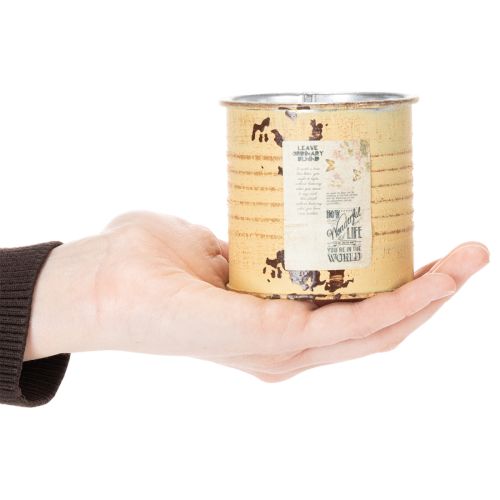 Artikel Dekorativ dåse, sommer abrikosfarvet, metal dåse, urtepotte, Ø8 cm H7,5 cm