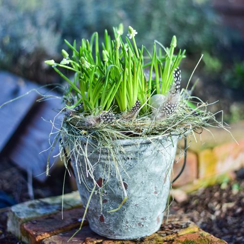 Floristik24 Dekorativ spand, urtepotte, keramisk spand antik look Ø19,5cm H19cm