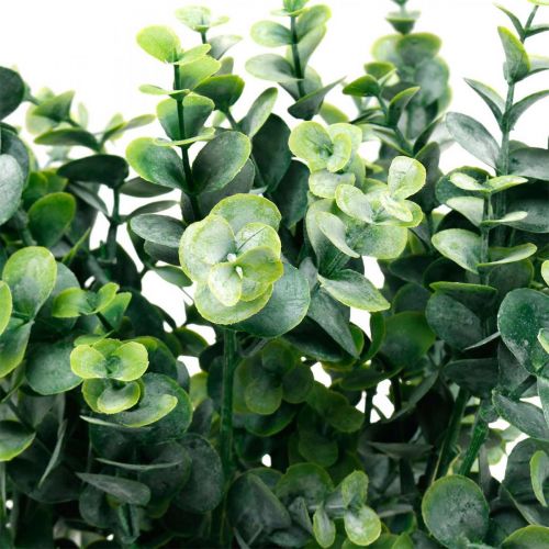 Floristik24 Dekorativ Eukalyptusgren Mørkegrøn Kunstig Eucalyptus Kunstig Grønne Planter 6 stk.