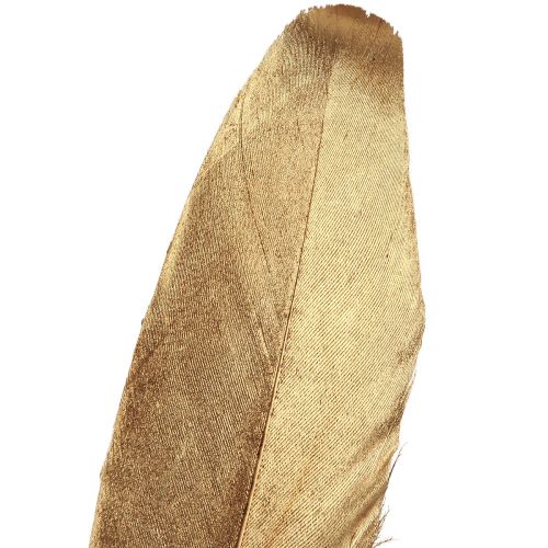 Artikel Pyntefjer guld juledekorationsfjer 15-20cm 12 stk