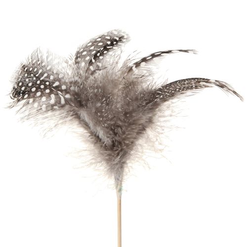 Floristik24 Dekorative fjer perlehøns prikket på pind Naturel L35cm 12 stk.