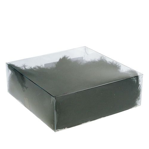 Floristik24 Korte fjer 30g sort