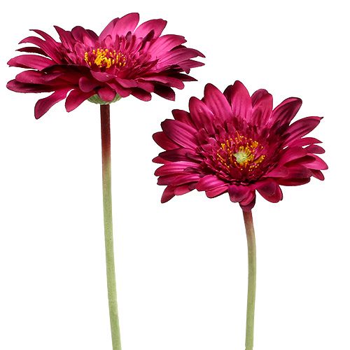 Dekorativ gerbera mørk lyserød Ø10cm L53cm 6stk