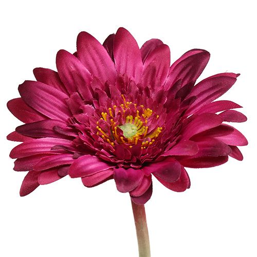 Artikel Dekorativ gerbera mørk lyserød Ø10cm L53cm 6stk