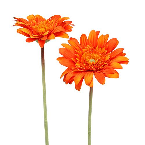 Floristik24 Deco Gerbera Orange Ø10cm L53cm 6stk