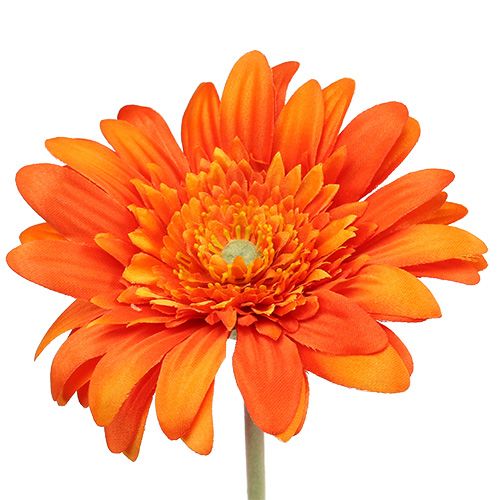 Floristik24 Deco Gerbera Orange Ø10cm L53cm 6stk
