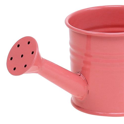Floristik24 Dekorative vandkasser pastell røv. Ø7,5cm H7,5cm 8stk
