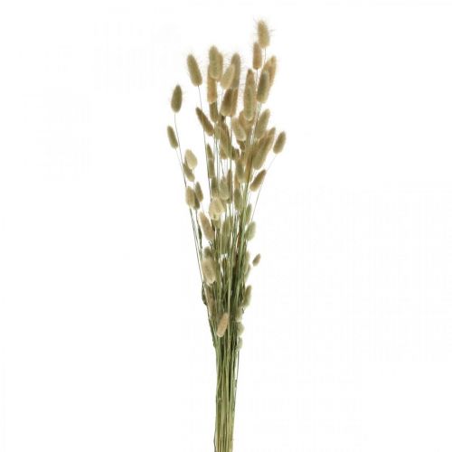 Tørret Lagurus, Lagurus tørrede blomster, Naturlig Lagurus græs L30–70cm 45g