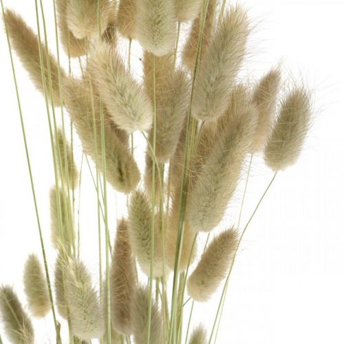 Artikel Tørret Lagurus, Lagurus tørrede blomster, Naturlig Lagurus græs L30–70cm 45g