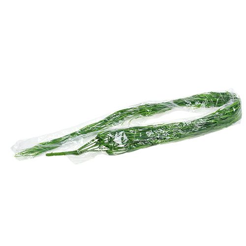 Floristik24 Dekorativ bøjle grøn 112cm