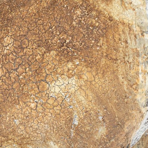 Artikel Dekorativ kaninfigur til forårsindretning i hjemmet, 32 cm, 2 stk.