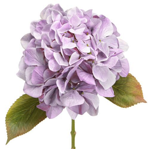 Artikel Dekoration Hortensia Kunstige Blomster Lilla Blomst Ø18cm 69cm 2stk