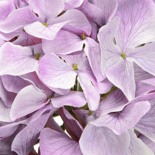 Artikel Dekoration Hortensia Kunstige Blomster Lilla Blomst Ø18cm 69cm 2stk