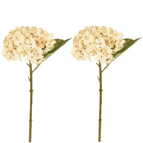 Artikel Dekorative hortensiaer kunstige cremefarvede silkeblomster 34 cm 2 stk.