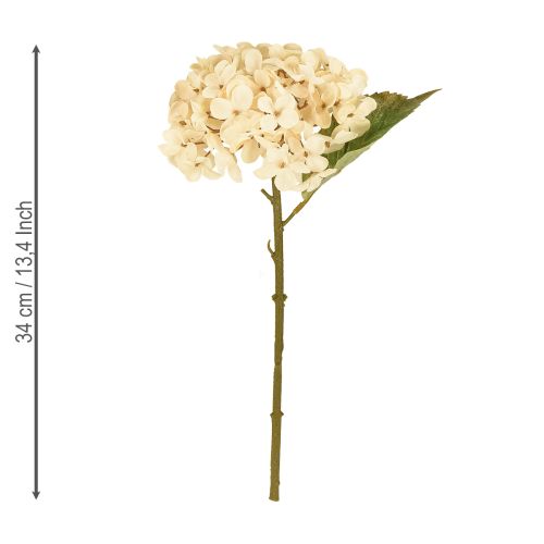 Artikel Dekorative hortensiaer kunstige cremefarvede silkeblomster 34 cm 2 stk.