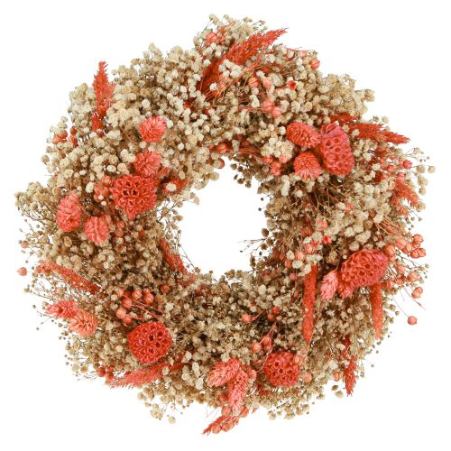 Floristik24 Dekorativ krans tørrede blomster blomsterkrans appelsincreme Ø25cm