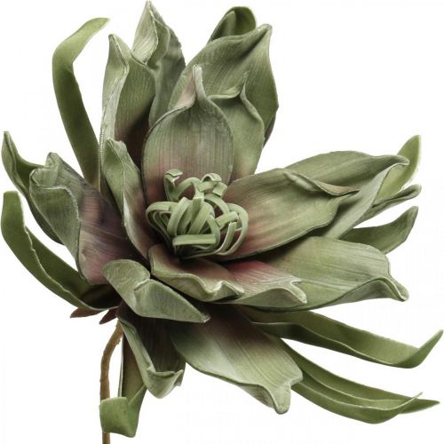 Floristik24 Deco lotusblomst kunstig lotusblomst kunstig blomst grøn L70cm