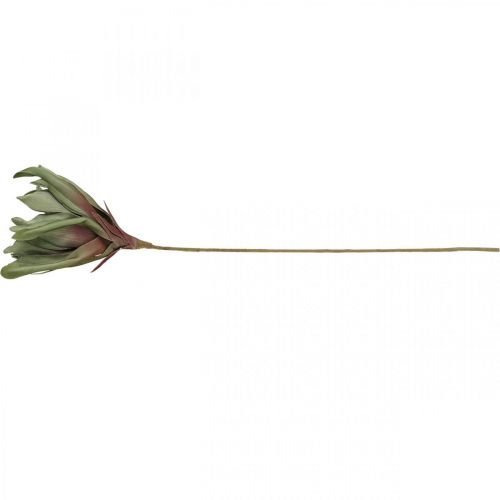 Floristik24 Deco lotusblomst kunstig lotusblomst kunstig blomst grøn L70cm