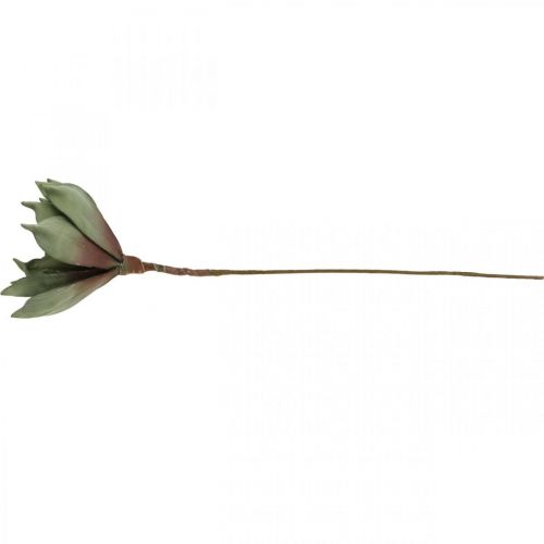 Floristik24 Deco lotusblomst, lotusblomst, silkeblomst grøn L64cm
