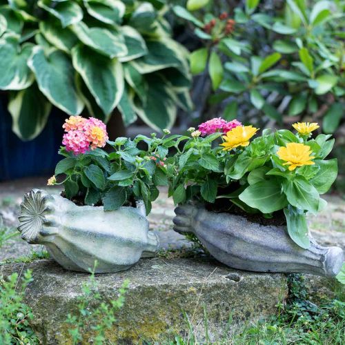 Floristik24 Dekorativ valmuekapsel, plantekasse i beton, cachepot, gravdekoration L26cm
