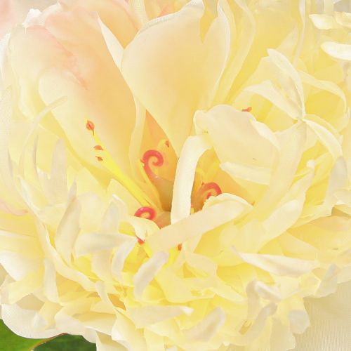 Artikel Dekoration Pæoner Kunstige Blomster Gul Blossom L64cm 2stk