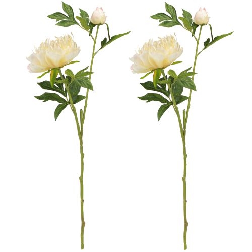 Artikel Dekoration Pæoner Kunstige Blomster Gul Blossom L64cm 2stk