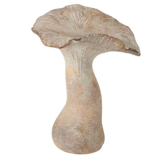 Floristik24 Dekorativ efterårsdekoration i støbt sten med svampe, gråvasket 19×15 cm H23 cm