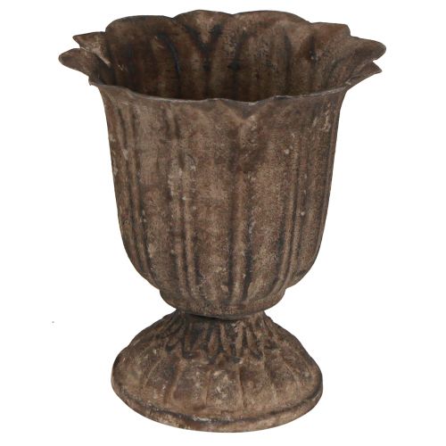Floristik24 Dekorativ trofæ antik mini plantepotte gråbrun Ø12cm H13cm