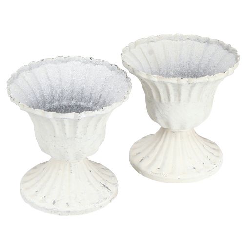 Floristik24 Dekorativ kop Shabby Chic Kalk Hvid Ø8cm H8,5cm 2stk