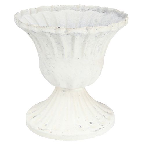 Floristik24 Dekorativ kop Shabby Chic Kalk Hvid Ø8cm H8,5cm 2stk