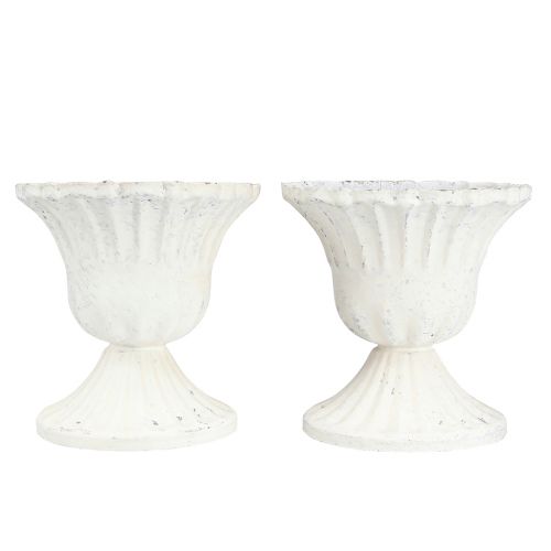 Floristik24 Dekorativ kop Shabby Chic Kalk Hvid Ø8cm H8,5cm 2stk