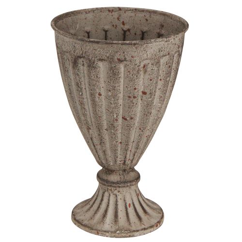 Dekorativ trofæ plante i antik look gråbrun Ø13cm H19cm