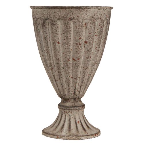 Artikel Dekorativ trofæ plante i antik look gråbrun Ø13cm H19cm