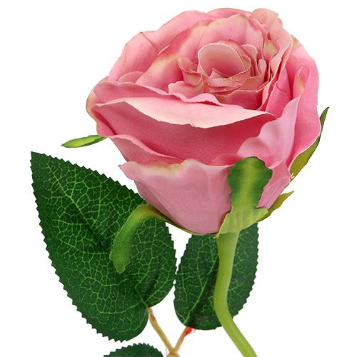 Floristik24 Dekorativ rose Ø6cm lyserød L50cm 1p