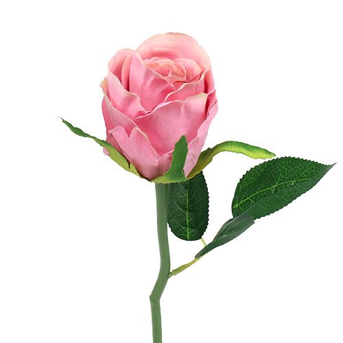 Floristik24 Deco rose Ø6cm lyserød L30cm 6stk