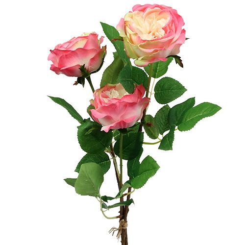 Floristik24 Deco rose pink Ø10cm 52cm 3stk