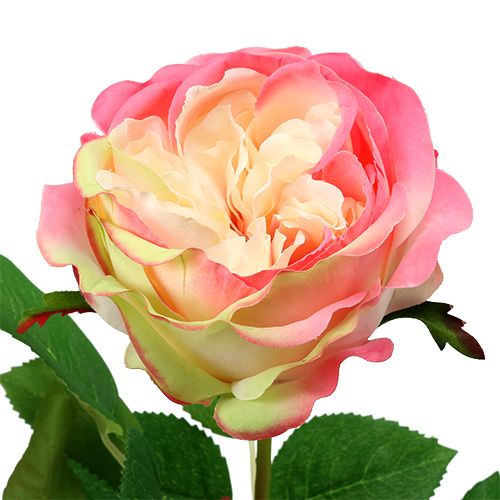 Floristik24 Deco rose pink Ø10cm 52cm 3stk