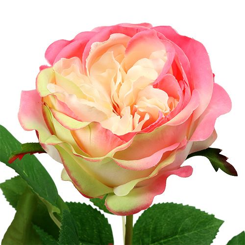 Artikel Deco rose pink Ø10cm 52cm 3stk