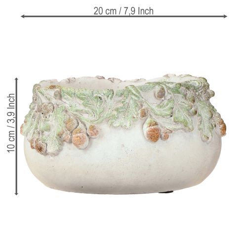 Artikel Dekorativ skål støbt sten agern planteskål Ø20cm H10cm